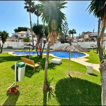 Alicante Mil Palmeras Renovado Ahorra Hasta -50 *