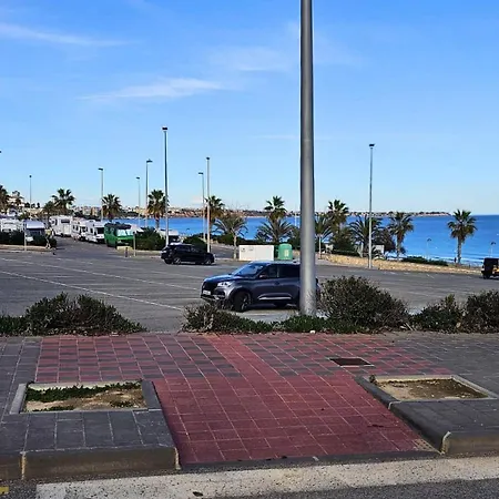 Alicante Mil Palmeras Renovado Ahorra Hasta -50 *