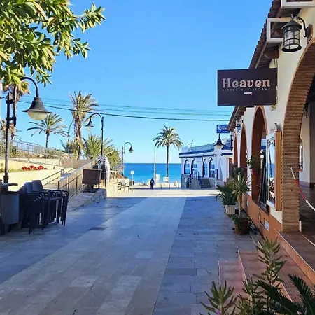 Alicante Mil Palmeras Renovado Ahorra Hasta -50